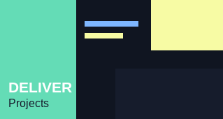 Senior Project Manager